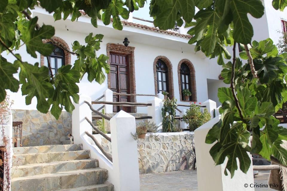Dar Wadada Hotel Chefchaouen Exterior photo